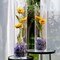 Cylindrical Transparent Glass Vase Perfect for Flowers and Decorative Fillers